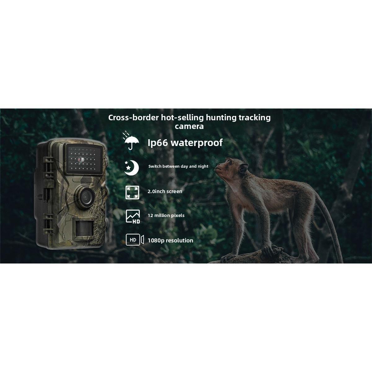 Caméra de Chasse Infra-Rouge HD DL001 1080P Full HD Vision Nocturne Intégrée Écran LCD 2,0 Pouces Enregistrement Vidéo Photo Audio Carte MicroSD Piles AA USB 2.0 Prêt à l'emploi