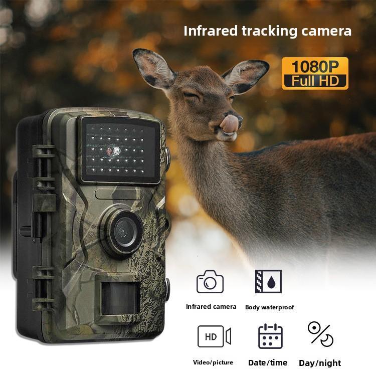 Caméra de Chasse Infra-Rouge HD DL001 1080P Full HD Vision Nocturne Intégrée Écran LCD 2,0 Pouces Enregistrement Vidéo Photo Audio Carte MicroSD Piles AA USB 2.0 Prêt à l'emploi