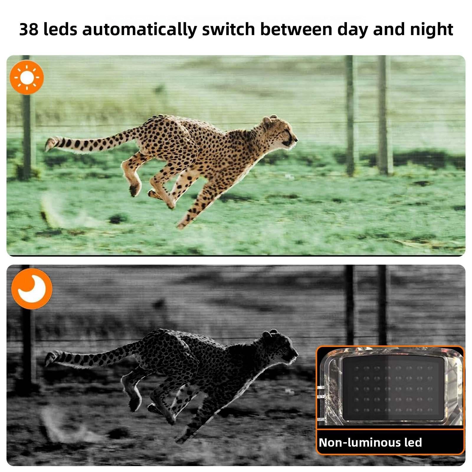 Caméra de Chasse Infra-Rouge HD DL001 1080P Full HD Vision Nocturne Intégrée Écran LCD 2,0 Pouces Enregistrement Vidéo Photo Audio Carte MicroSD Piles AA USB 2.0 Prêt à l'emploi